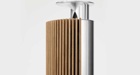 BANG&OLUFSEN Beolab 18, diffusore audio
