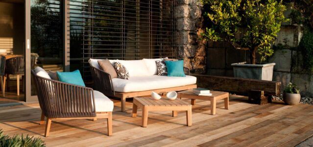 TRIBU Mood, collezione